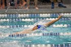 Swimming & Diving vs Babson  Swimming & Diving vs Babson College. - Photo by Keith Nordstrom : Wheaton, Swimming